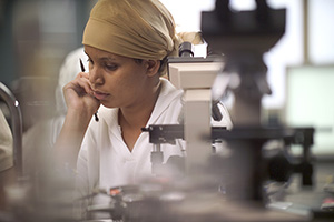 Female working in a lab